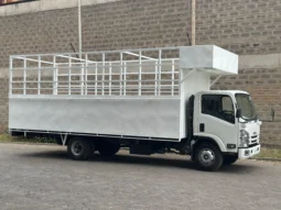 NQR81K